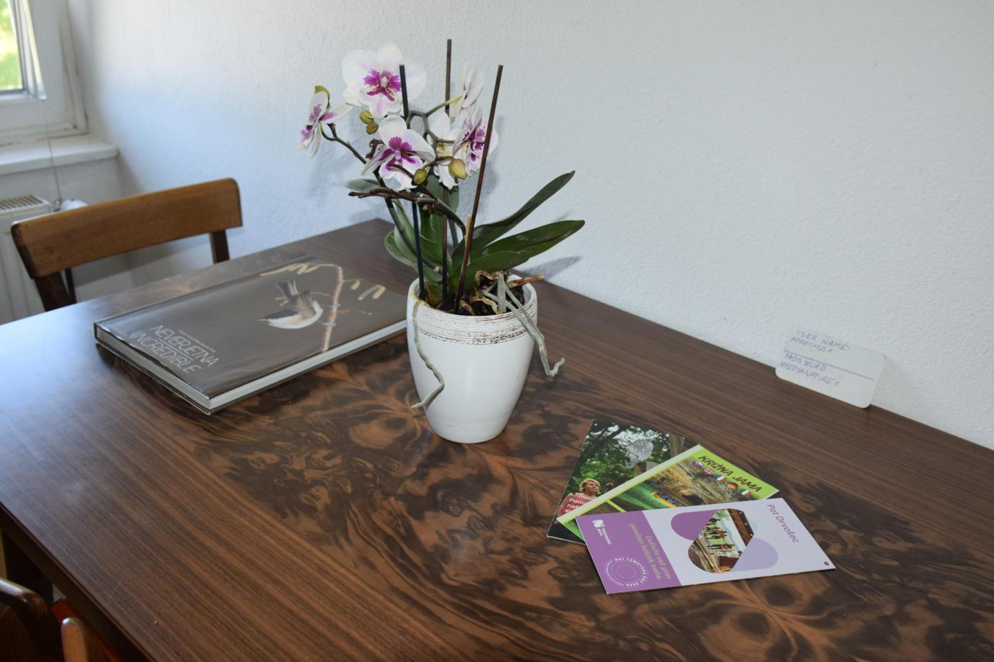 Apartma Narava Begunje pri Cerknici 객실 사진